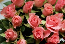 Утопая в розах! Скидка 50% на букеты из кустовых роз от цветочного бутика «Нарцисс»