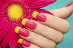 Педикюр + покрытие shellac за 450 рублей и прочие услуги со скидкой до 70% в салоне красоты «Имидж»