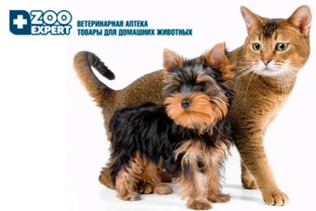 Побалуйте своего питомца! Скидка 50% на места и клетки для животных в сети ветеринарных аптек ZooExpert!