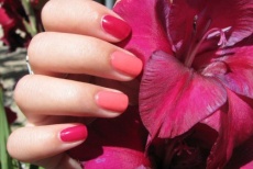 Скидка 50% на маникюр+парафинотерапию и педикюр с покрытием Shellac или OPI gelcolor в студии ногтевого сервиса и дизайна