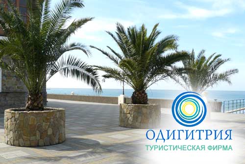 Отдых в Адлере (8 д./7 н.) от 8 300 руб. от туристической фирмы «Одигитрия»
