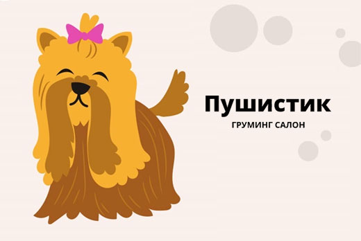 Груминг салон «Пушистик»: скидка 50% на комплексные услуги