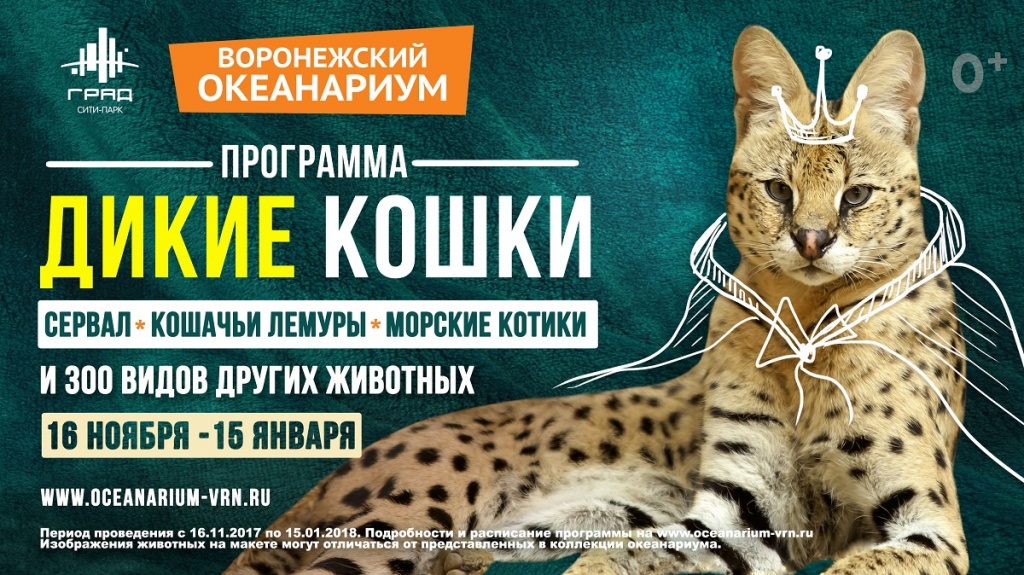 3543х1992-пикс.jpg 3543х1992-пикс.jpg