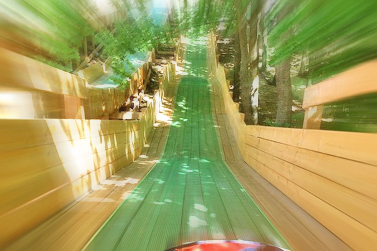 t_131032015.jpg