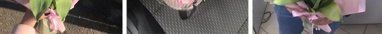 956965_02.jpg