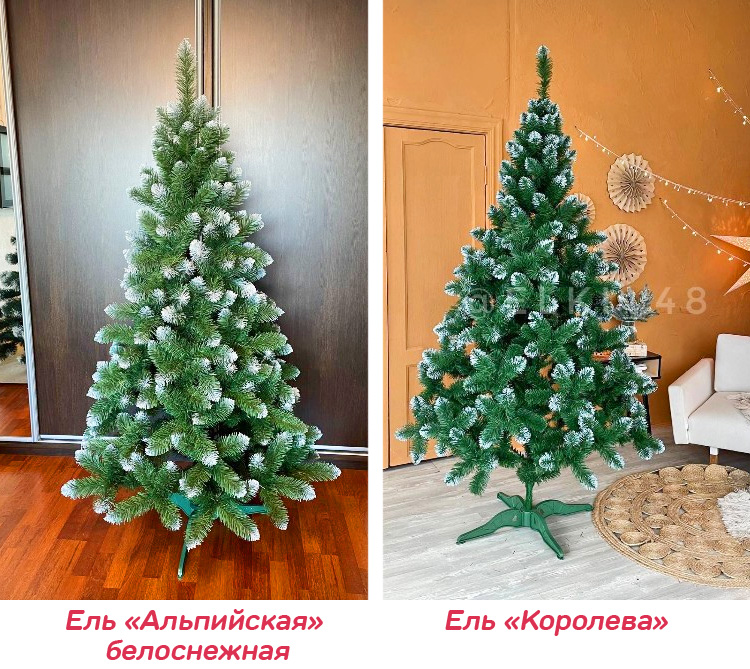 523566233_01.jpg