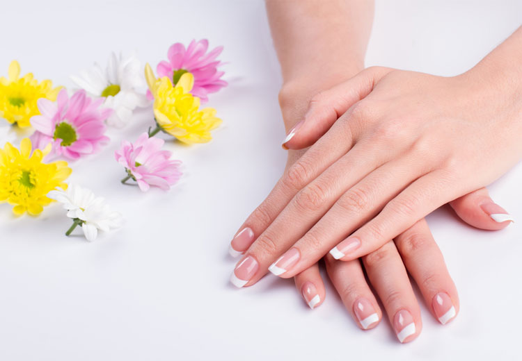 t_25235235.jpg t_25235235.jpg