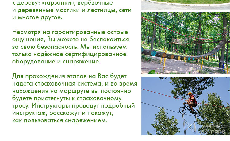 42423_02.jpg