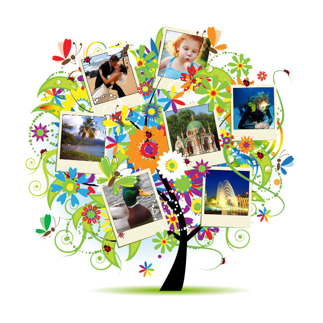 shutterstock_48945391.jpg