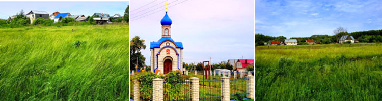 01-5_170615.jpg