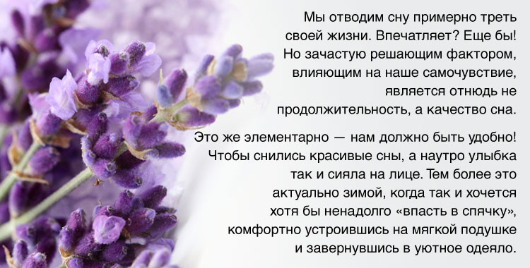 01-1_200815.jpg