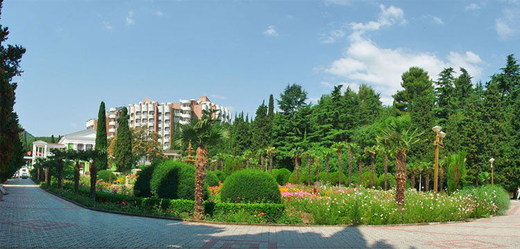 t_3523523523.jpg