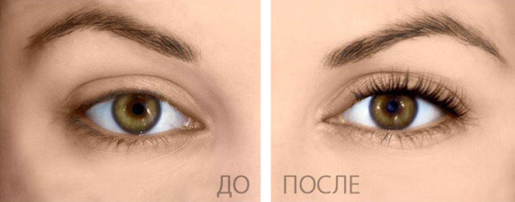 t_235236.jpg