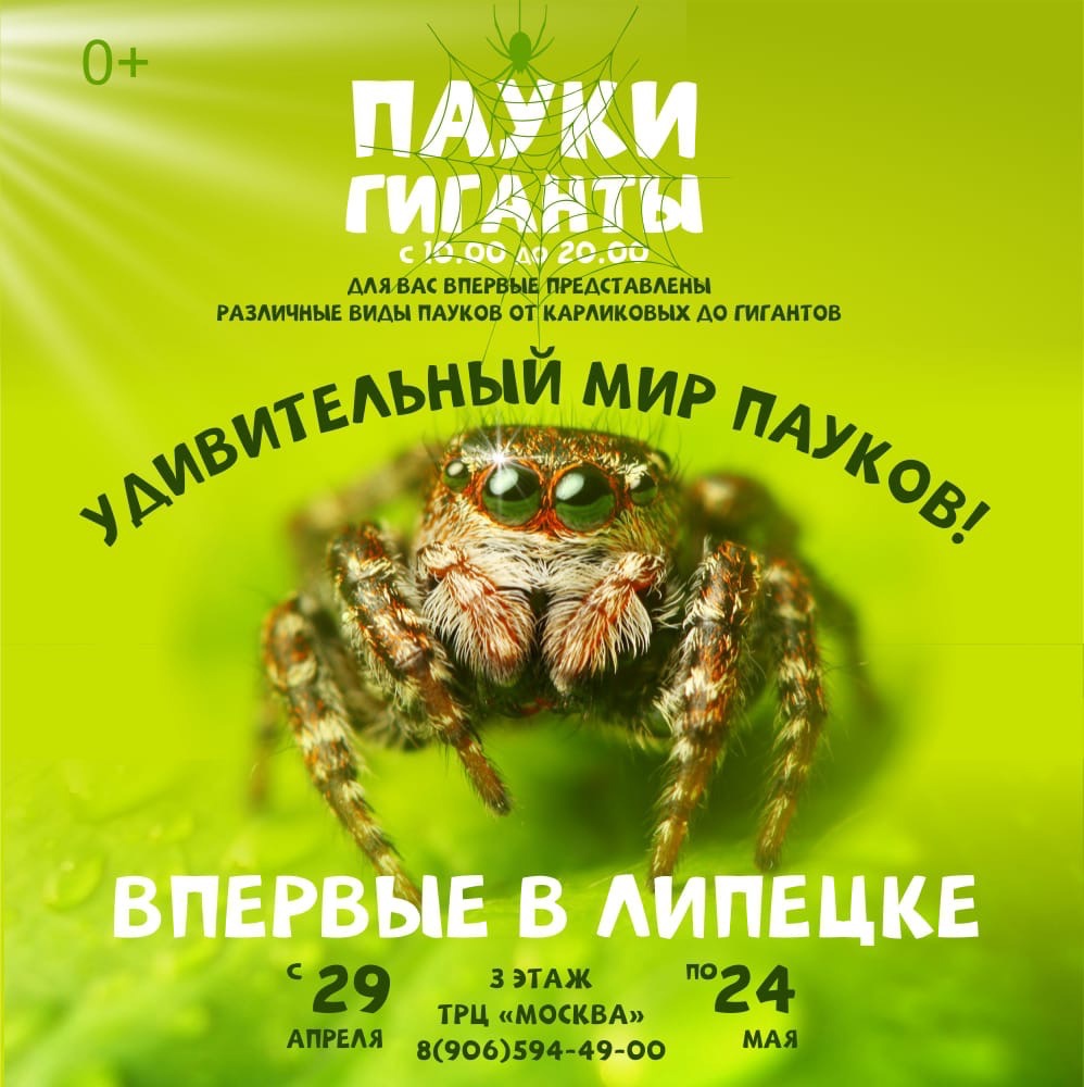 Bkbeu22Iqeg.jpg