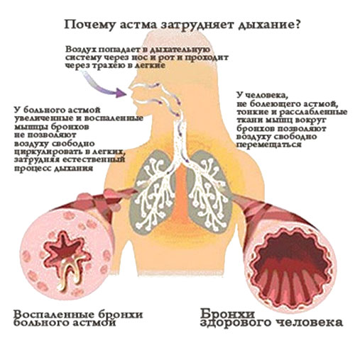 t_2354235235.jpg
