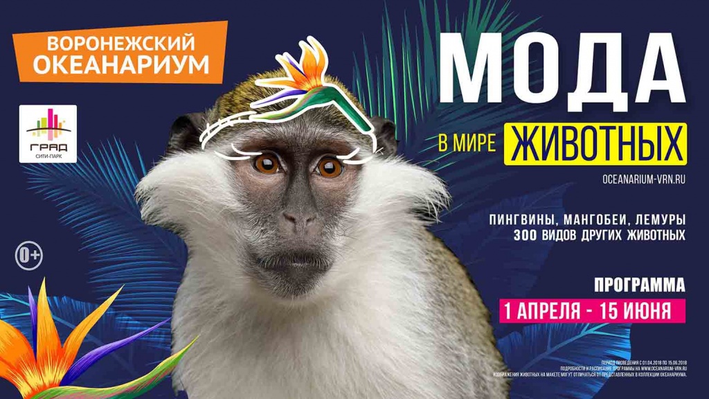 плазма(обезьяна%203543х1992пикс.jpg