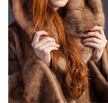 m_23523532.jpg
